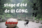 Stage d'été de QI GONG 2022 en BELGIQUE Stage d'été de QI GONG 2022 en BELGIQUE